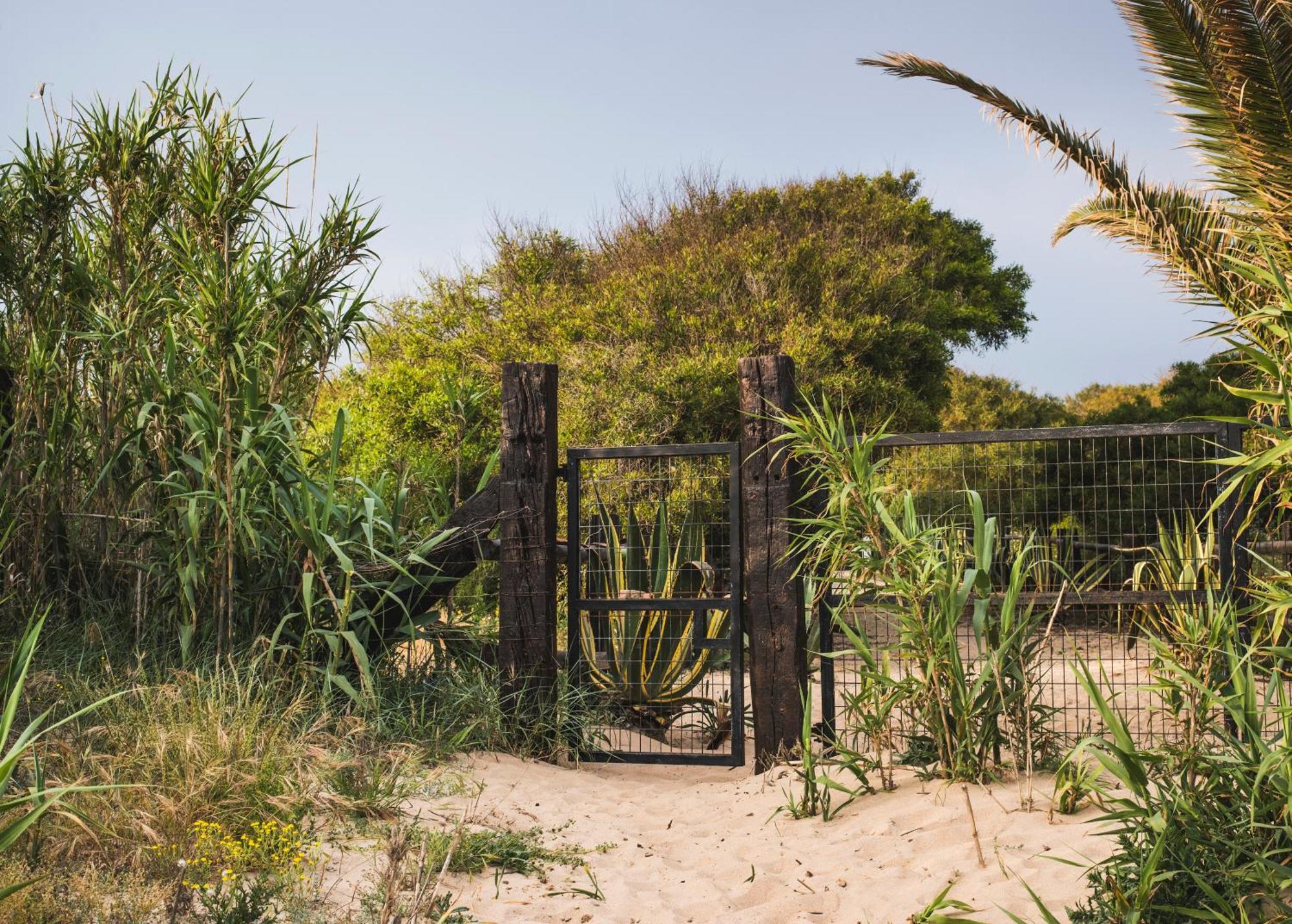 Casara Dos - 2 Dormitorios - Torre Con Acceso Privado A La Playa De Zahora Bagian luar foto